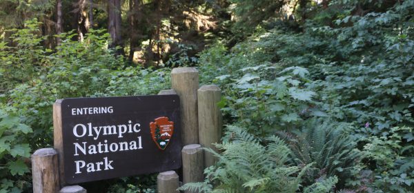 Olympic National Park in 8 days