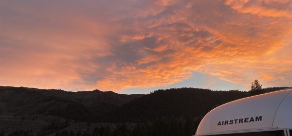 Both Redwoods! July 2020